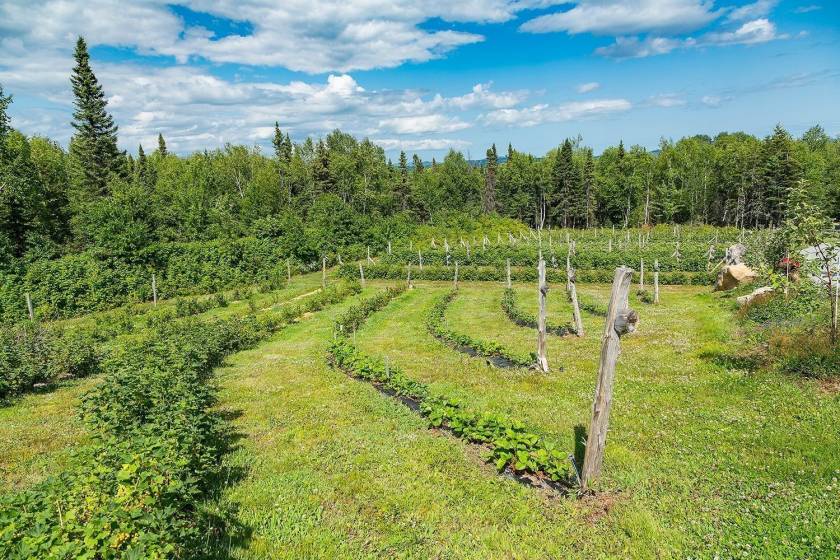 36 - House for sale, Saint-Urbain (Code - su081, Charlevoix)