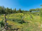 37 - House for sale, Saint-Urbain (Code - su081, Charlevoix)