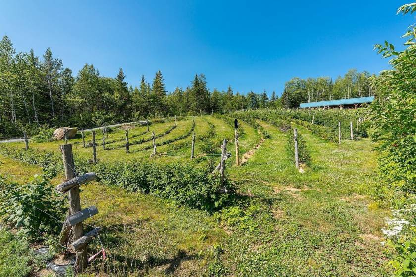 37 - House for sale, Saint-Urbain (Code - su081, Charlevoix)