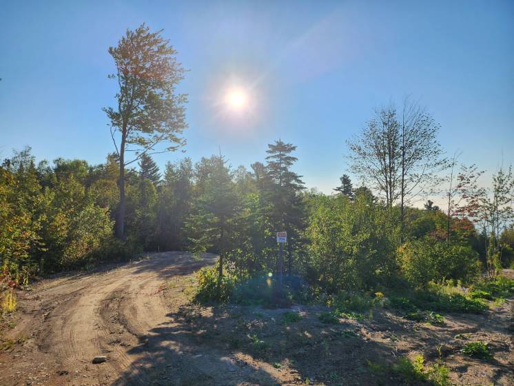 3 - Lot and land for sale, Les Éboulements (Code - eb335, Charlevoix)