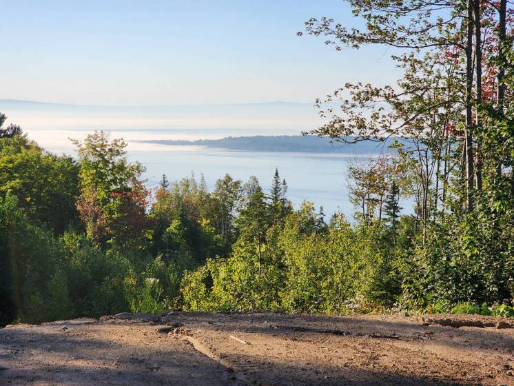 6 - Lot and land for sale, Les Éboulements (Code - eb335, Charlevoix)