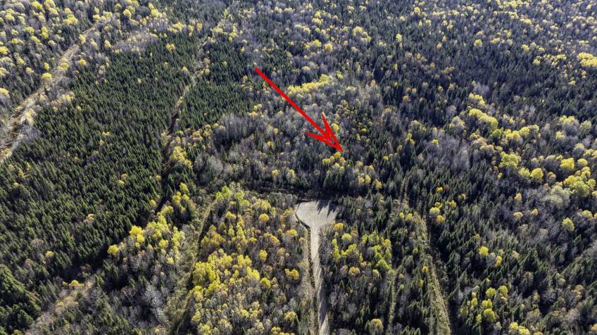 9 - Terrain et terre à vendre, La Malbaie (Code - mb421, Charlevoix)