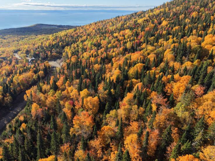 Terrain et terre à vendre - Petite-Rivière-Saint-François, Charlevoix (PR868)