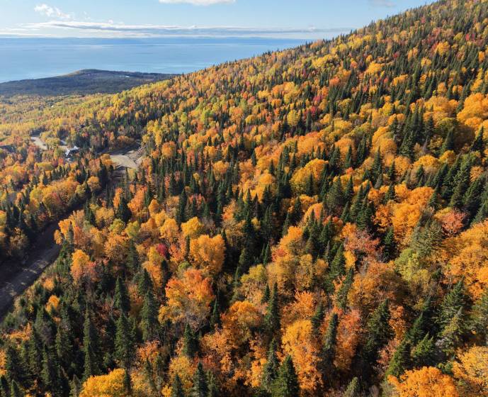 1 - Terrain et terre à vendre, Petite-Rivière-Saint-François (Code - pr868, Charlevoix)