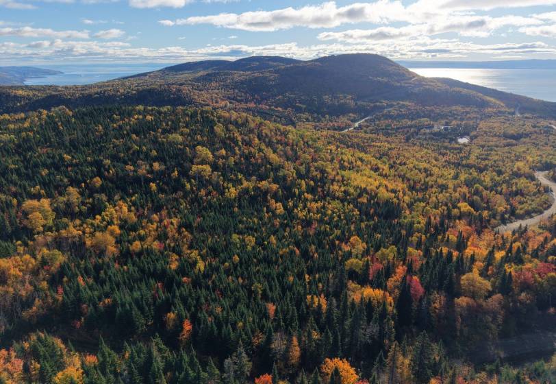 3 - Terrain et terre à vendre, Petite-Rivière-Saint-François (Code - pr868, Charlevoix)