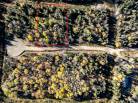 8 - Terrain et terre à vendre, La Malbaie (Code - mb418, Charlevoix)