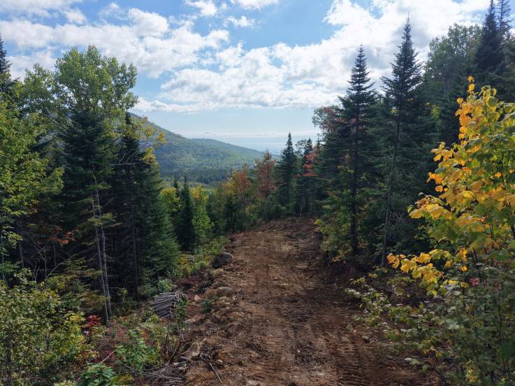 Terrain et terre à vendre - Petite-Rivière-Saint-François, Charlevoix (PR869)