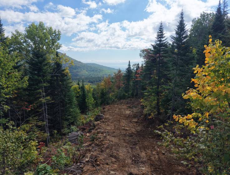 1 - Terrain et terre à vendre, Petite-Rivière-Saint-François (Code - pr869, Charlevoix)