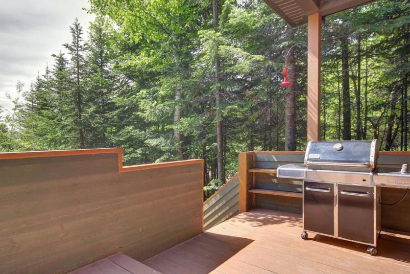 26 - House for sale, Petite-Rivière-Saint-François (Code - pr794, Charlevoix)