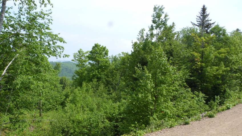 3 - Lot and land for sale, Petite-Rivière-Saint-François (Code - pr813, Charlevoix)