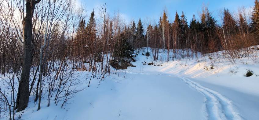 7 - Lot and land for sale, Les Éboulements (Code - eb321, Charlevoix)