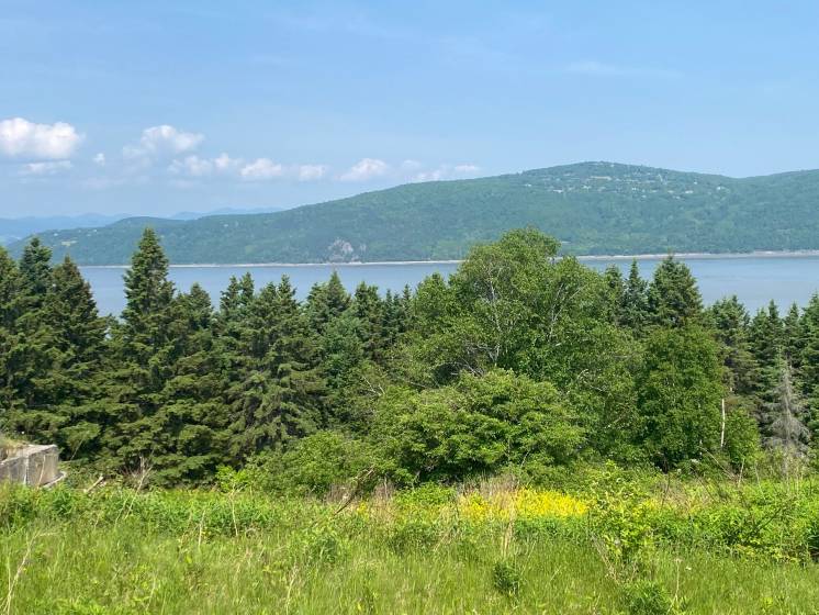 1 - Lot and land for sale, L'Isle-aux-Coudres (Code - ic042, Charlevoix)