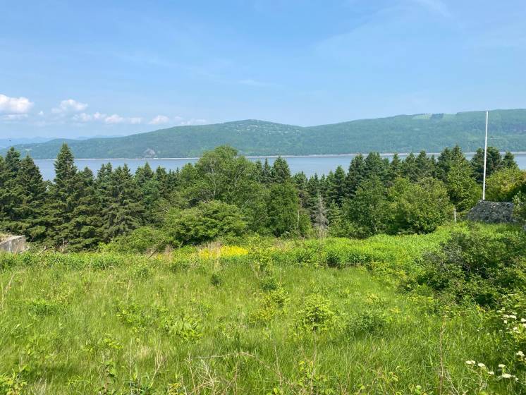 3 - Lot and land for sale, L'Isle-aux-Coudres (Code - ic042, Charlevoix)