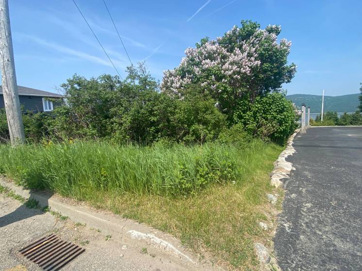 4 - Lot and land for sale, L'Isle-aux-Coudres (Code - ic042, Charlevoix)