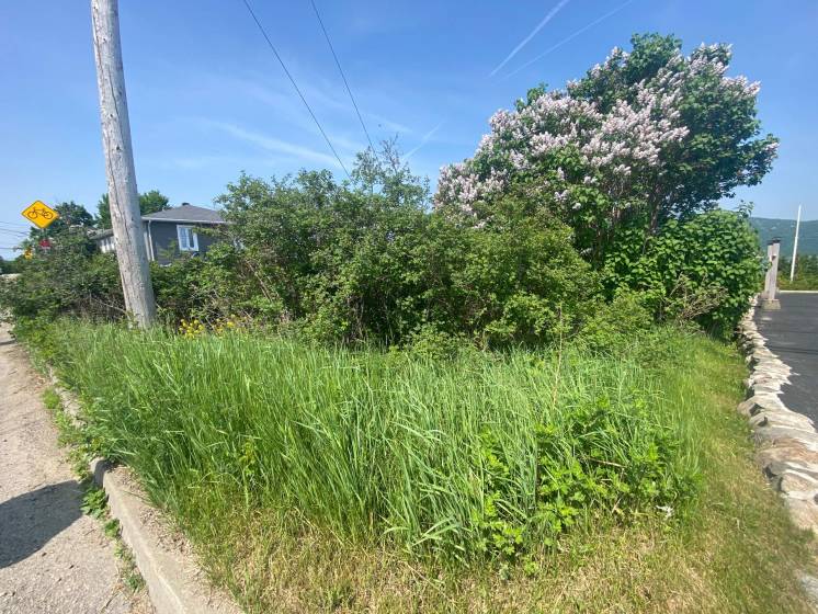 5 - Lot and land for sale, L'Isle-aux-Coudres (Code - ic042, Charlevoix)