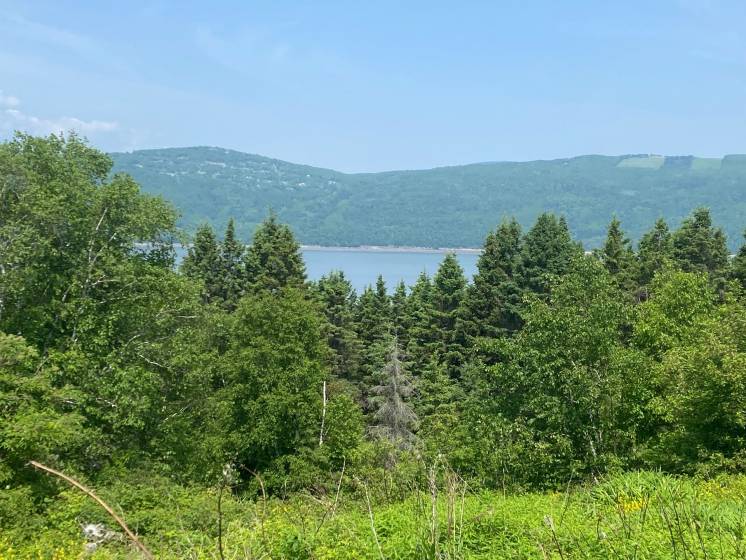 7 - Lot and land for sale, L'Isle-aux-Coudres (Code - ic042, Charlevoix)