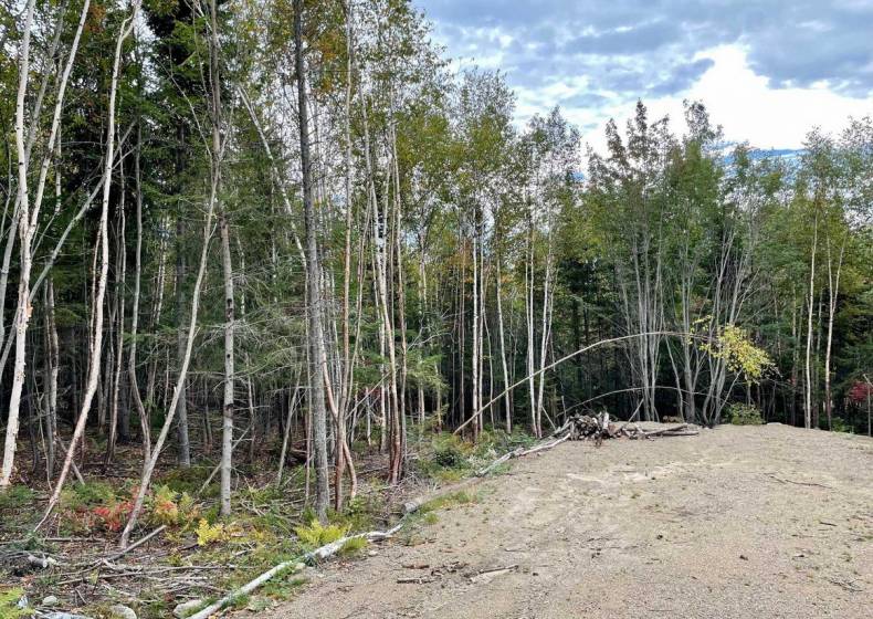 3 - Lot and land for sale, Petite-Rivière-Saint-François (Code - pr816, Charlevoix)