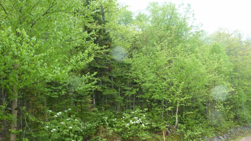 6 - Lot and land for sale, Petite-Rivière-Saint-François (Code - pr815, Charlevoix)