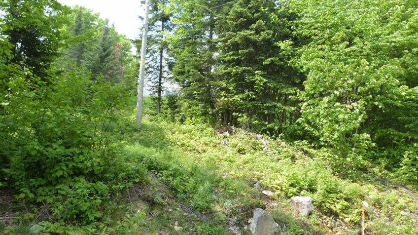 8 - Lot and land for sale, Petite-Rivière-Saint-François (Code - pr815, Charlevoix)