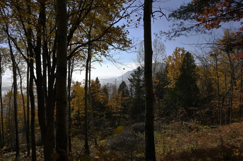 10 - Terrain et terre à vendre, Baie-Saint-Paul (Code - sp908, Charlevoix)
