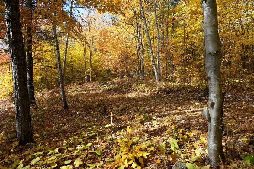 6 - Lot and land for sale, Baie-Saint-Paul (Code - sp908, Charlevoix)