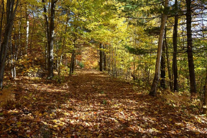 7 - Lot and land for sale, Baie-Saint-Paul (Code - sp908, Charlevoix)