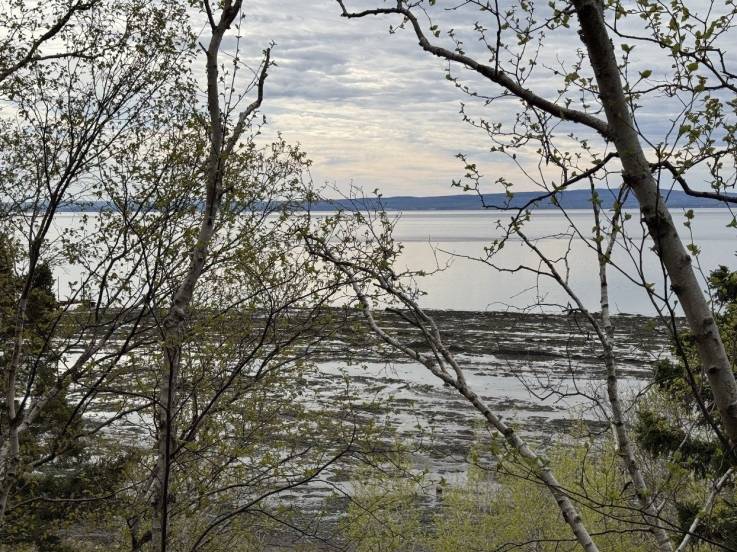 Lot and land for sale - L'Isle-aux-Coudres, Charlevoix (IC045)