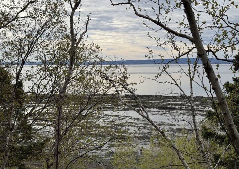 4 - Lot and land for sale, L'Isle-aux-Coudres (Code - ic045, Charlevoix)