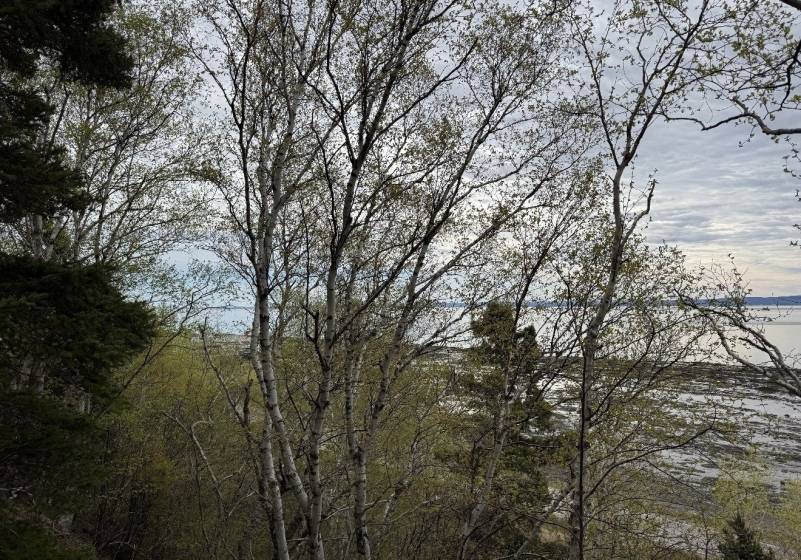 5 - Lot and land for sale, L'Isle-aux-Coudres (Code - ic045, Charlevoix)