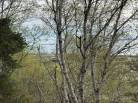 6 - Lot and land for sale, L'Isle-aux-Coudres (Code - ic045, Charlevoix)