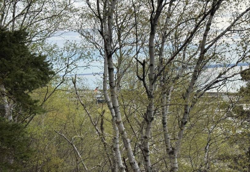 6 - Lot and land for sale, L'Isle-aux-Coudres (Code - ic045, Charlevoix)