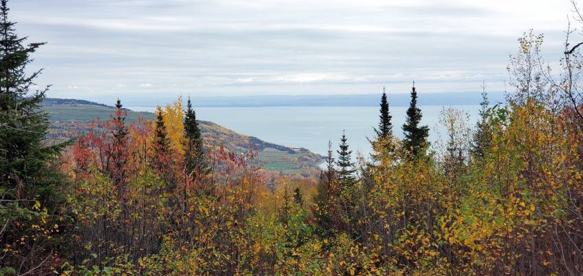 17 - Lot and land for sale, Les Éboulements (Code - eb333, Charlevoix)