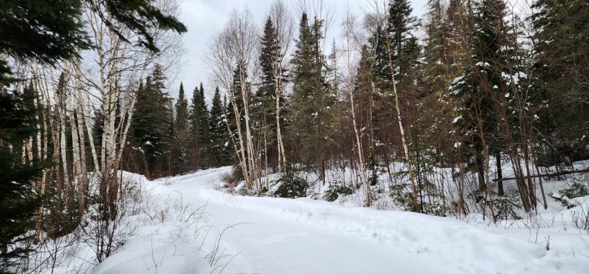 55 - House for sale, Saint-Urbain (Code - su087, Charlevoix)