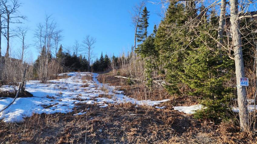 11 - Lot and land for sale, Les Éboulements (Code - eb284, Charlevoix)