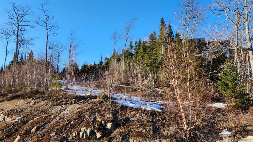 12 - Lot and land for sale, Les Éboulements (Code - eb284, Charlevoix)