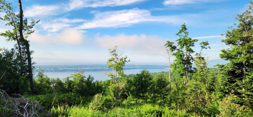 5 - Lot and land for sale, Les Éboulements (Code - eb284, Charlevoix)