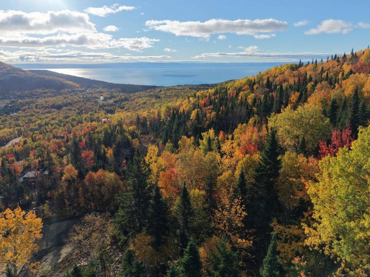 Terrain et terre à vendre - Petite-Rivière-Saint-François, Charlevoix (PR872)