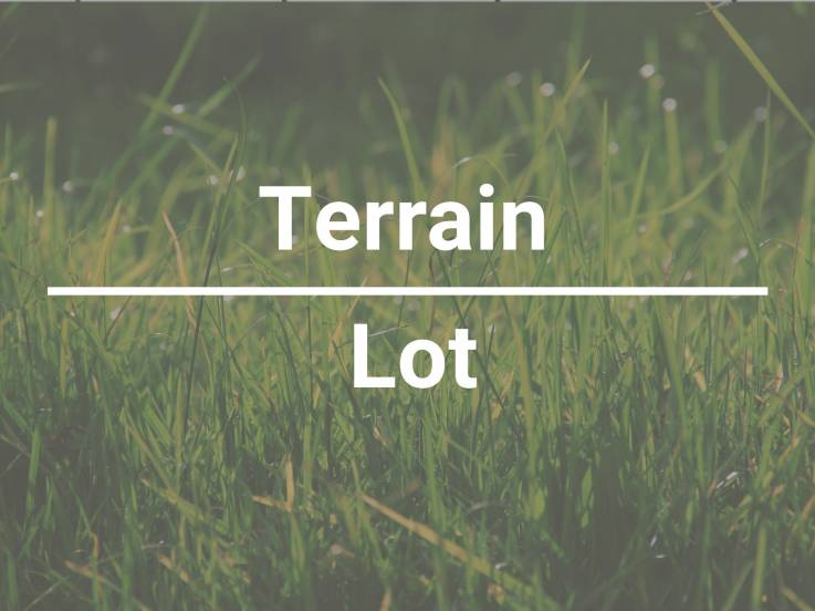 Terrain et terre à vendre - Les Éboulements, Charlevoix (EB325)
