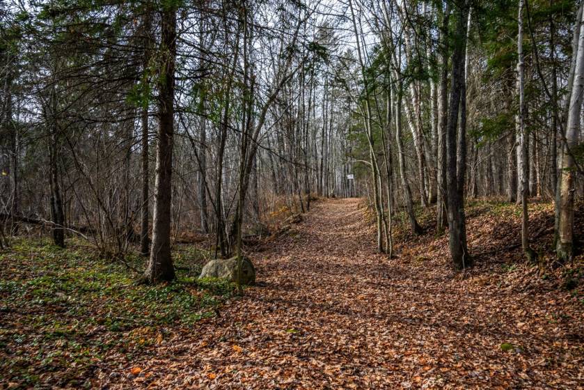 11 - Lot and land for sale, Baie-Saint-Paul (Code - sp826, Charlevoix)