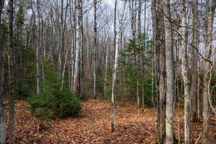 14 - Lot and land for sale, Baie-Saint-Paul (Code - sp826, Charlevoix)
