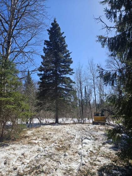 5 - Terrain et terre à vendre, Les Éboulements (Code - eb324, Charlevoix)
