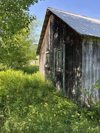 4 - Terrain et terre à vendre, Baie-Saint-Paul (Code - sp929, Charlevoix)