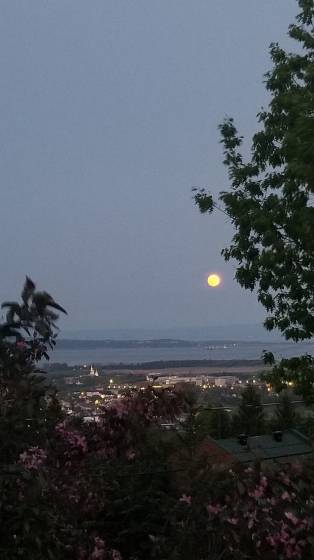 45 - Maison à vendre, Baie-Saint-Paul (Code - sp912, Charlevoix)