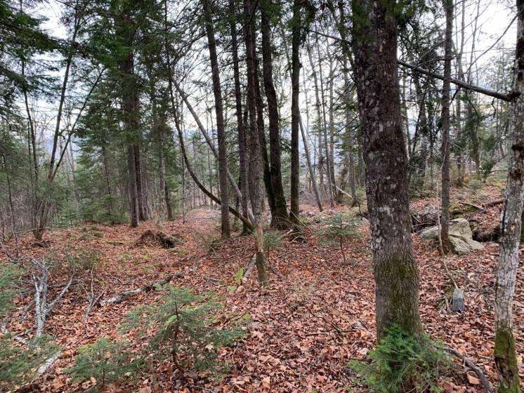 1 - Lot and land for sale, Petite-Rivière-Saint-François (Code - pr817, Charlevoix)