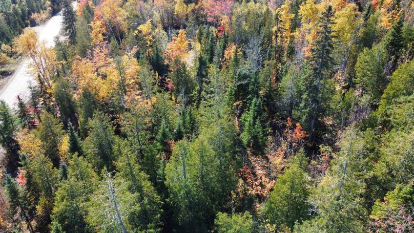 4 - Terrain et terre à vendre, Petite-Rivière-Saint-François (Code - pr859, Charlevoix)