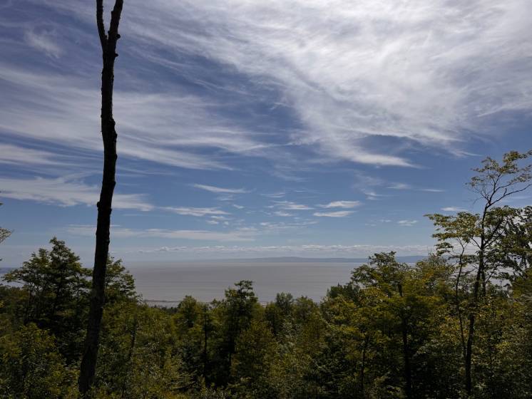 2 - Lot and land for sale, Petite-Rivière-Saint-François (Code - pr821, Charlevoix)