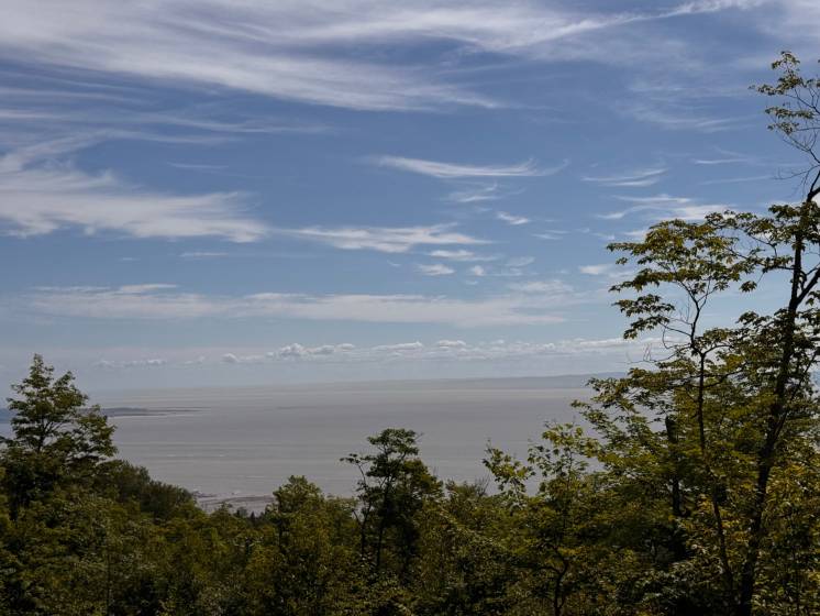 4 - Lot and land for sale, Petite-Rivière-Saint-François (Code - pr821, Charlevoix)