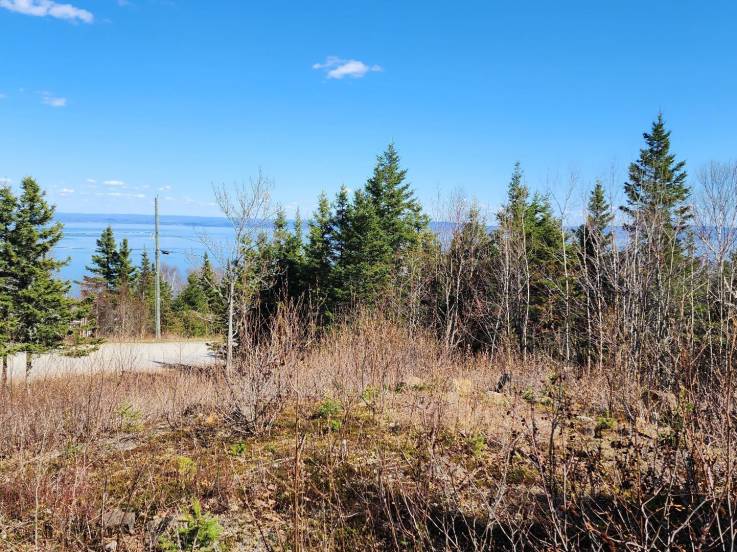 Lot and land for sale - Les Éboulements, Charlevoix (EB282)