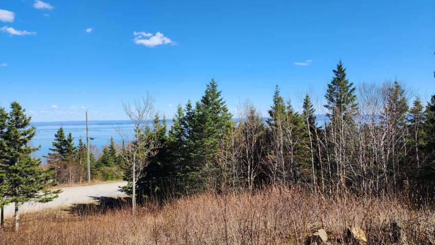 8 - Lot and land for sale, Les Éboulements (Code - eb282, Charlevoix)