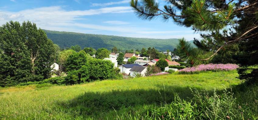 2 - Lot and land for sale, Saint-Urbain (Code - su083, Charlevoix)